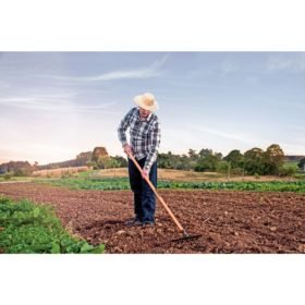 Alternative view of خرماشة  منحنية خفيفة ، 16 سن ، 145 سم مقبض خشبي