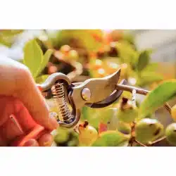 مقص فولاذي مطروق بمقابض مغطاة بالمطاط 12 image 55