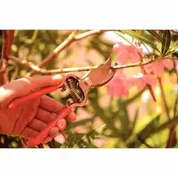 مقص فولاذي مطروق بمقابض مغطاة بالمطاط 14 image 56