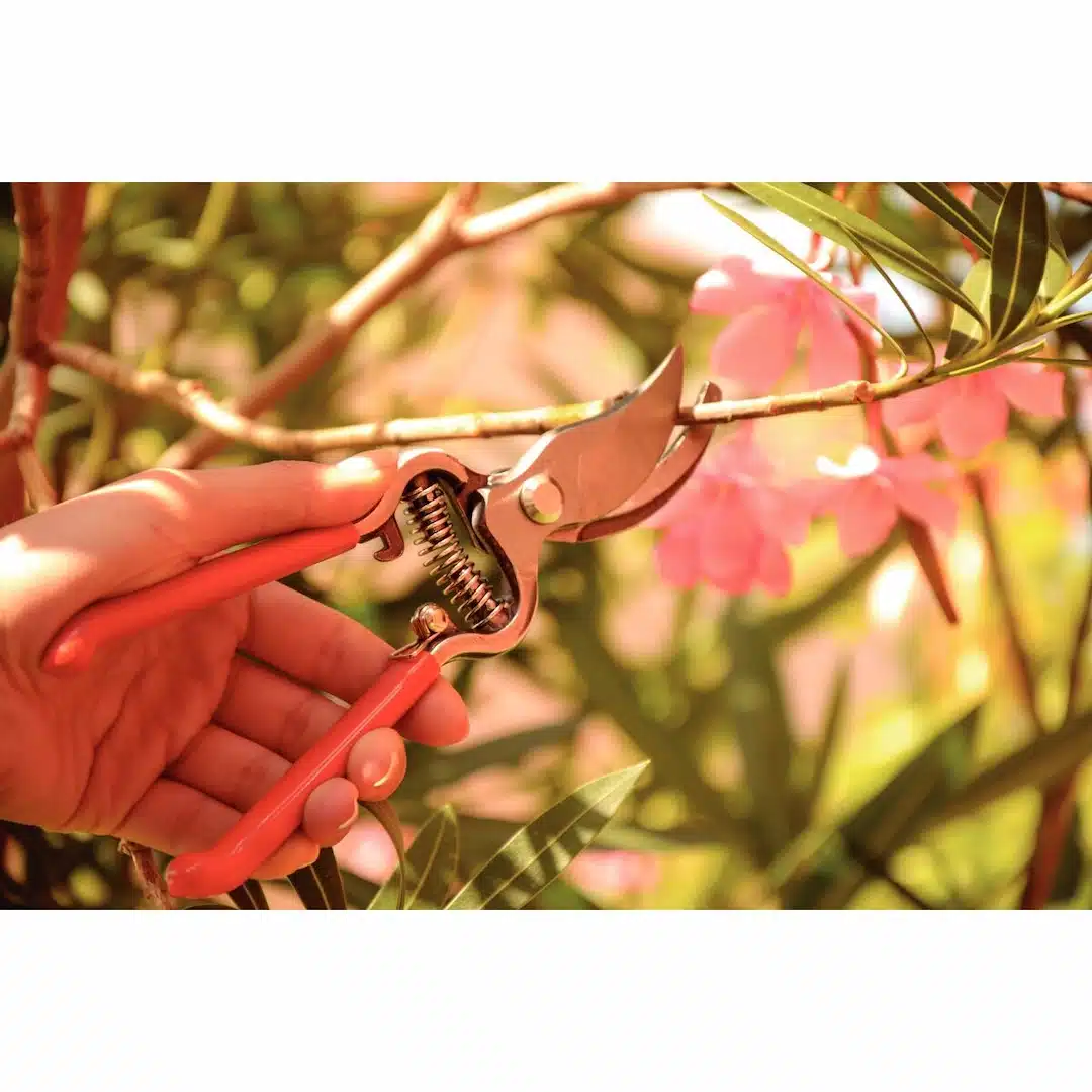 مقص فولاذي مطروق بمقابض مغطاة بالمطاط 5 مقص فولاذي مطروق بمقابض مغطاة بالمطاط - الصورة 5