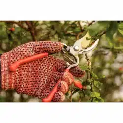 مقص فولاذي مطروق بمقابض مغطاة بالمطاط 13 image 57