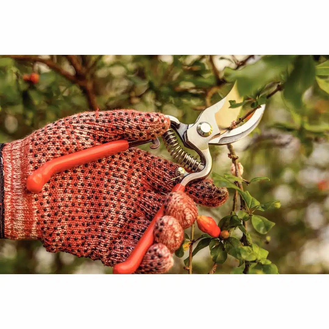 مقص فولاذي مطروق بمقابض مغطاة بالمطاط 4 مقص فولاذي مطروق بمقابض مغطاة بالمطاط - الصورة 4