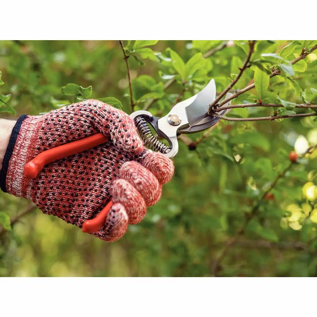 مقص فولاذي مطروق بمقابض مغطاة بالمطاط 6 مقص فولاذي مطروق بمقابض مغطاة بالمطاط - الصورة 6