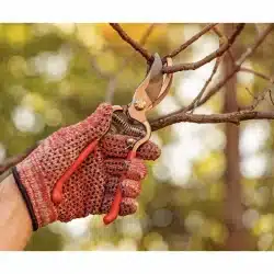 مقص فولاذي مطروق بمقابض مغطاة بالمطاط 16 image 59