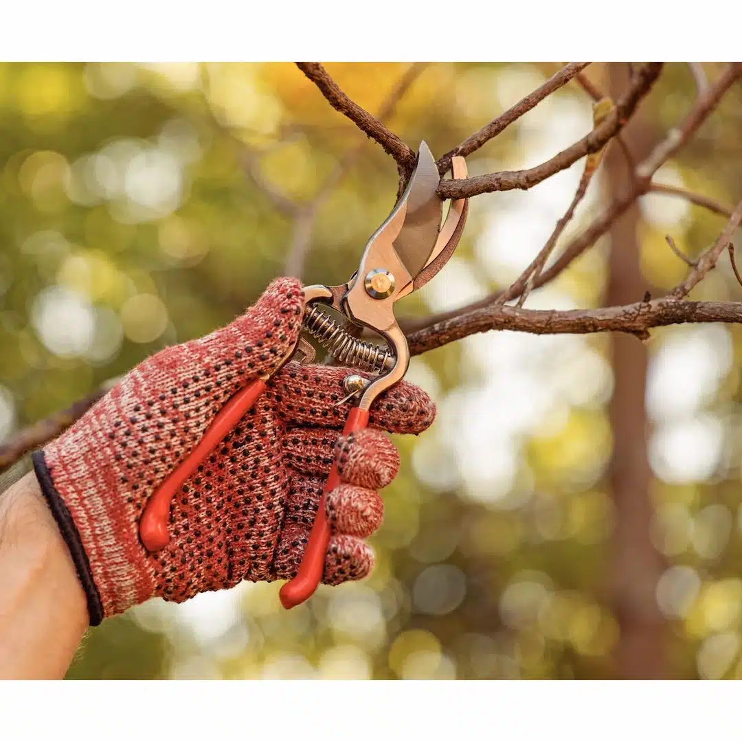 مقص فولاذي مطروق بمقابض مغطاة بالمطاط 7 مقص فولاذي مطروق بمقابض مغطاة بالمطاط - الصورة 7