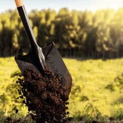 Alternative view of مجرفة ذات فم دائري، بمقبض خشبي بطول 71 سم