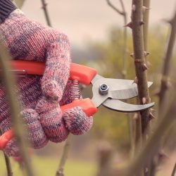 21205 tramontina pruning scissors with metal blade and plastic handle 78300001 3