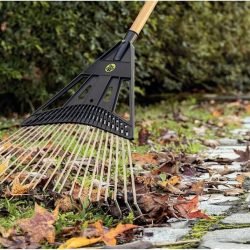 71CZqBCKGYL. AC UF8941000 QL80