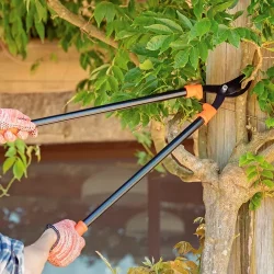 D NQ NP 799154 MLB71471314144 092023 O