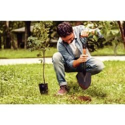 Alternative view of مجرفة صغيرة ذات فم دائري، بمقبض خشبي بطول 45 سم