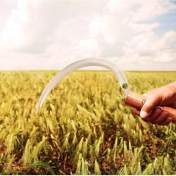 Alternative view of منجل ترامونتينا المعدني ذو الأسنان والمقبض الخشبي مقاس 36 سم