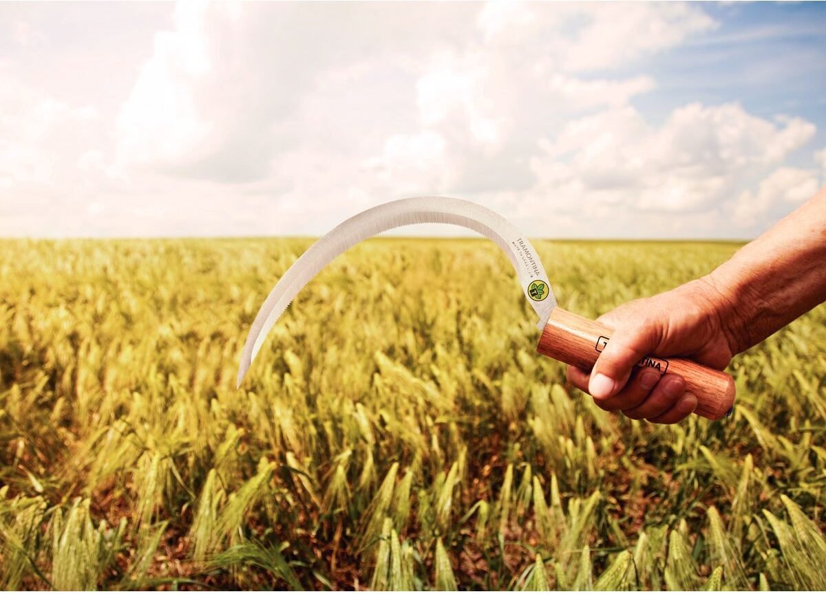 منجل ترامونتينا المعدني ذو الأسنان والمقبض الخشبي مقاس 34 سم 1 منجل ترامونتينا المعدني ذو الأسنان والمقبض الخشبي مقاس 34 سم