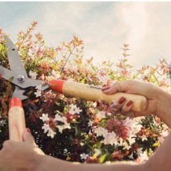 مقص من ترامونتينا بشفرات معدنية ومقابض خشبية 12 78342125PRM002G e1758455939407