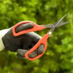 Alternative view of مقص فواكه احترافي ترامونتينا