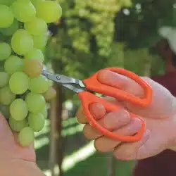 D NQ NP 2X 800222 MLB43471731672 092020 F