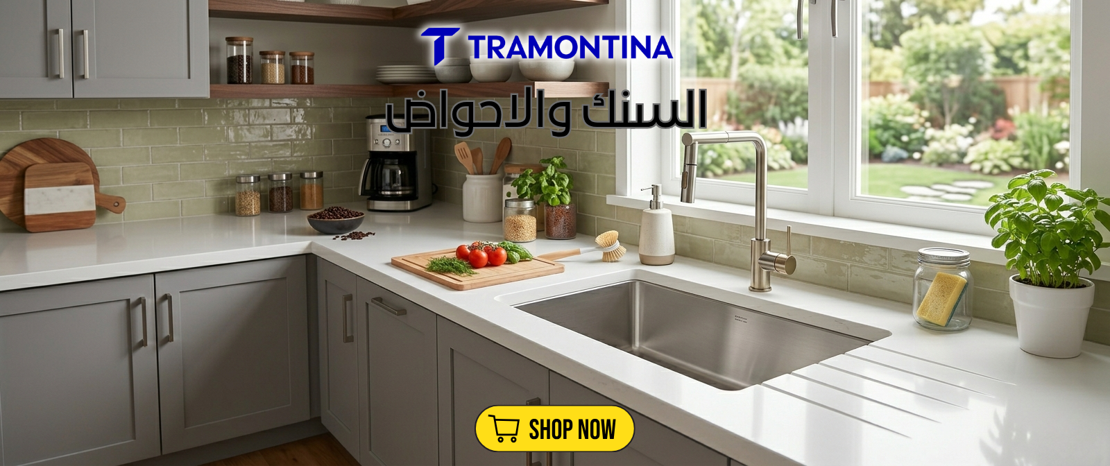 السنك والاحواض